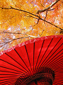 六義園の紅葉は素晴らしい！